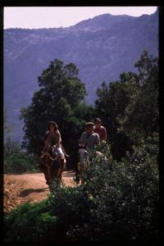 Spaziergang mit dem Pferd auf Sardinien